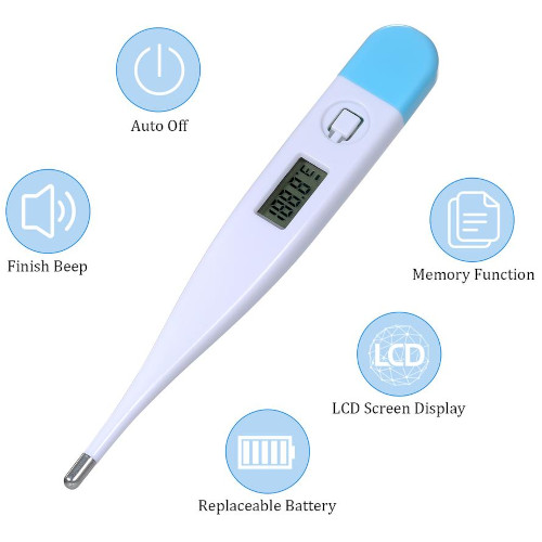 GWL Digital Thermometer